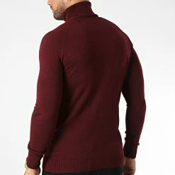 Acheter ✨ Pull Col Roulé T3873 Bordeaux de Classic Series 🔔 -Classic Series Soldes classic series 344533 T3873 BORDO 20221020T143539 04